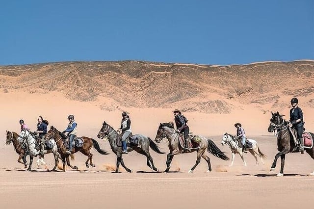 Desert Horse Ride in Agadir, listing photo