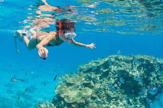 Ras Mohamed and White Island Snorkelling Trip from Sharm El Sheikh, listing photo
