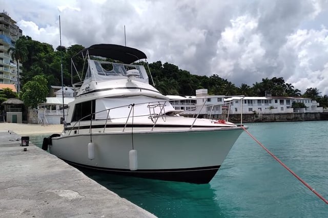 Private Deep Sea Fishing Charter in Montego Bay, listing photo