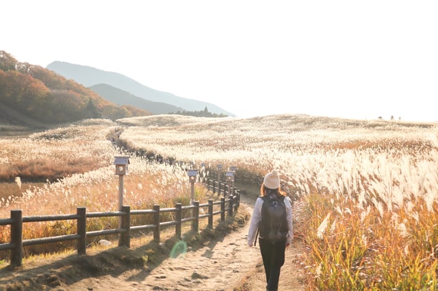 Soni Highlands and Akame Waterfalls Hike, listing photo