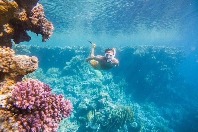 Private Speedboat Snorkel in Marsa Alam, listing photo