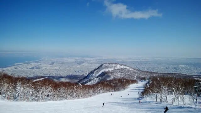 Sapporo Ski and Snowboard Day Tour, listing photo