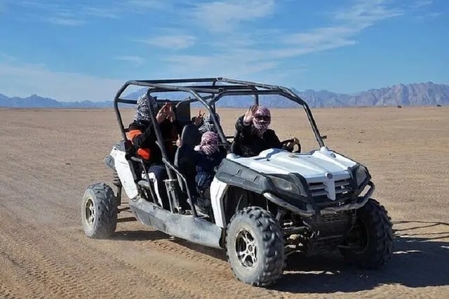 Family Buggy and Camel Safari in Hurghada, listing photo
