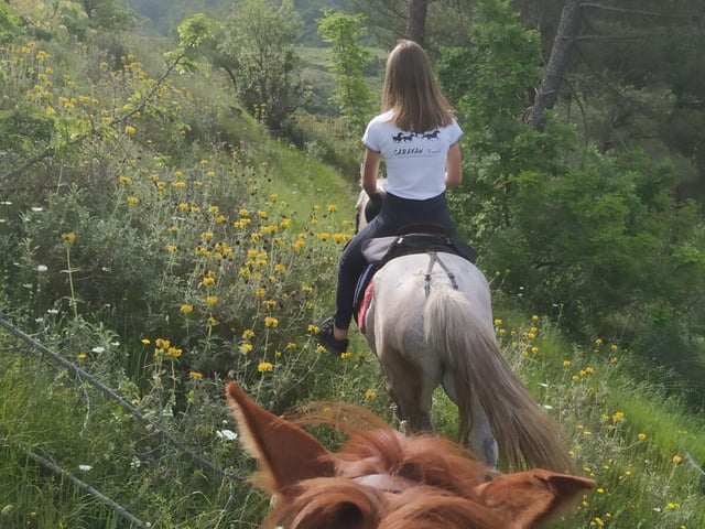 Countryside Horseback Ride in Gjirokastra, listing photo
