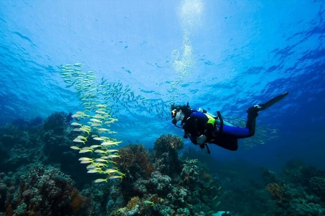 Beginner Scuba Day with Lunch in Sharm El Sheikh, listing photo