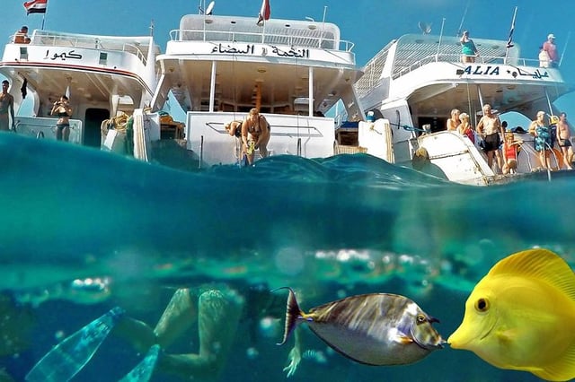 Marsa Mubarak Snorkel in Marsa Alam, listing photo