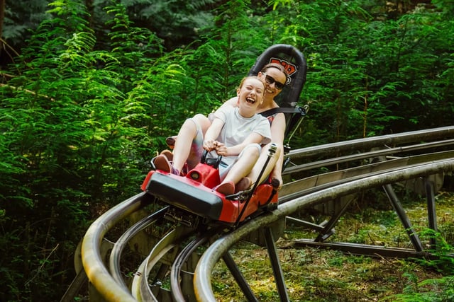 ‘Forest Coaster’ Alpine Coaster in Betws y Coed, listing photo