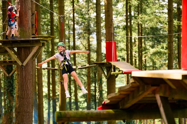 ‘Tree Hoppers’ Kids Zip Course in Betws y Coed, listing photo