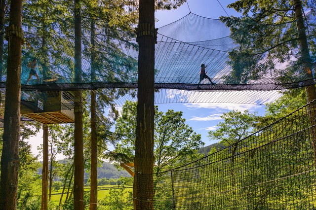 ‘Treetop Nets’ Bouncy Treetop Adventure in Betws y Coed, listing photo
