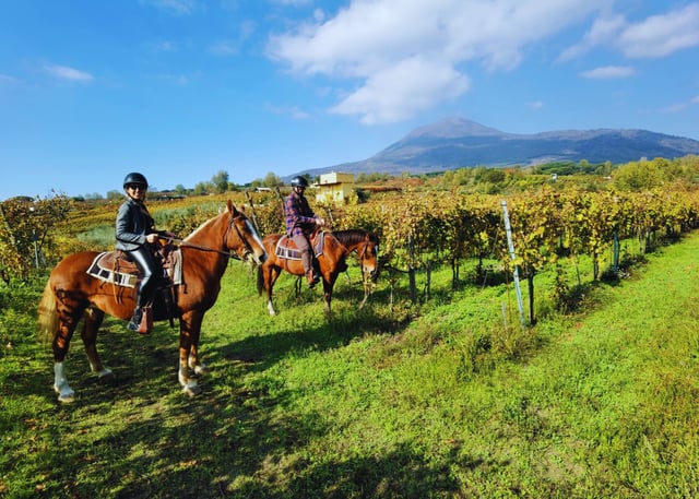 Scenic Horseback Ride on Mt.Vesuvius w/Wine Tasting, listing photo