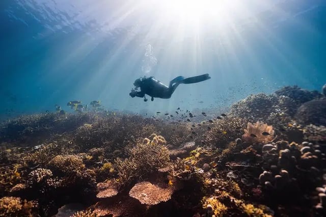 PADI Advanced Open Water in Sharm El Sheikh, listing photo