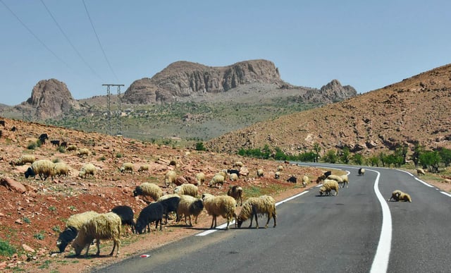 4-Day Berber Villages Trek and Mountain Biking Adventure, listing photo