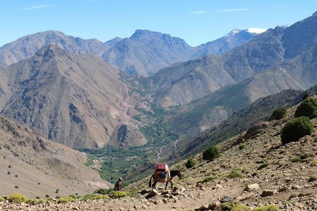 Marrakech and Imlil Atlas Mountains Day Walks, listing photo