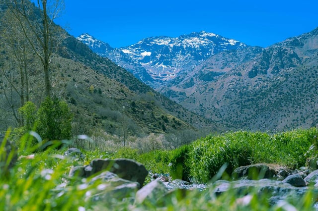 4-Day Mount Toubkal Trek from Marrakech, listing photo