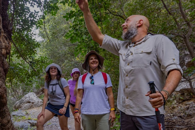 Kritsa Gorge Hiking Experience in Kritsa, listing photo