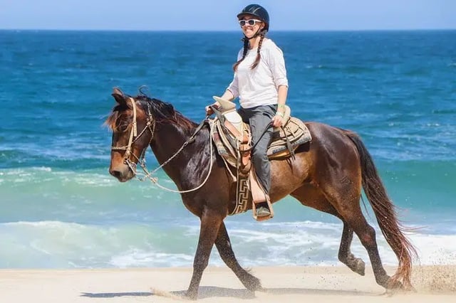 Horse Riding on the Beach with Transfer from Sharm El Sheikh, listing photo