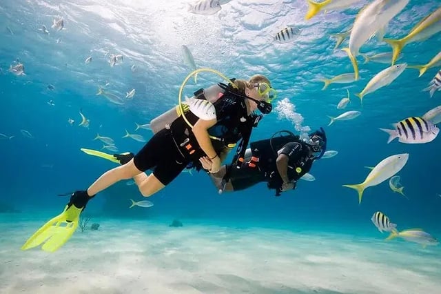 Scuba Diving Sea Trip with Lunch from Hurghada, listing photo