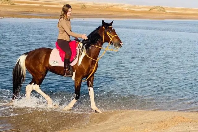 Sunrise Horse Ride in Hurghada, listing photo