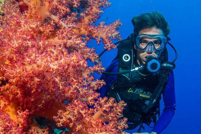 Hamata and Qulaan Islands Diving Day in Marsa Alam, listing photo