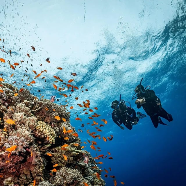 Red Sea Diving Trip for Certified Divers from Hurghada, listing photo