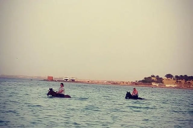 Horse Swim and Desert Ride in Hurghada, listing photo