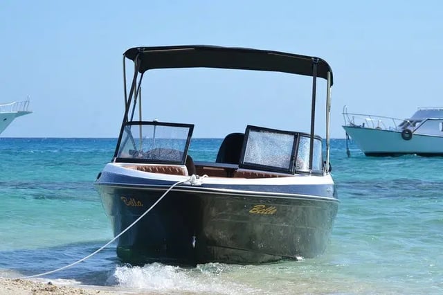 Private Speedboat Dolphin Watching and Snorkeling in Hurghada, listing photo