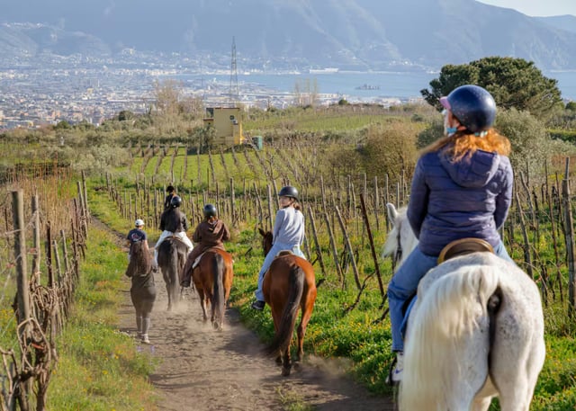 Private Pompeii Horse Riding and Lunch Tour with Pickup, listing photo