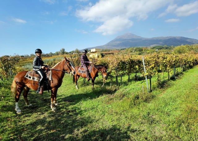 Horseback Riding on Mount Vesuvius, listing photo