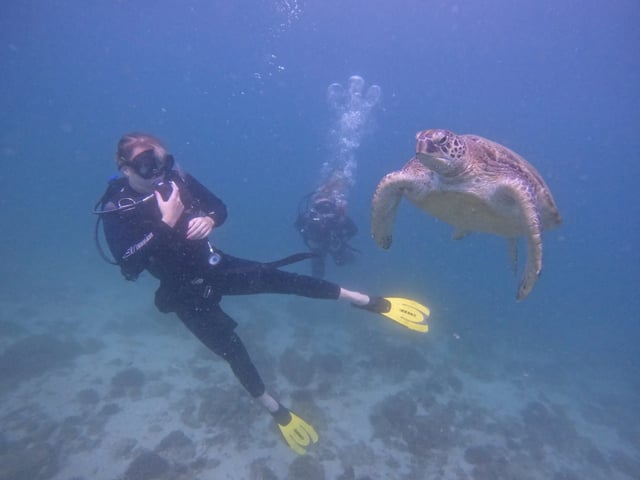 Two Boat Dives in Fujairah for Certified Divers, listing photo