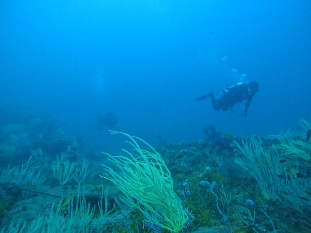 From Abu Dhabi: Two Certified Dives in Fujairah, listing photo