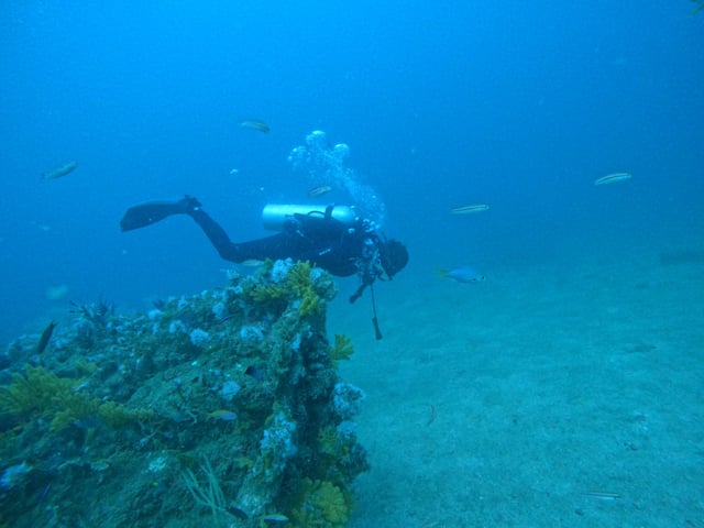 Two Certified Dives with Transfer in Fujairah, listing photo
