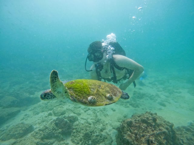 Try Scuba Diving Experience in Fujairah, listing photo