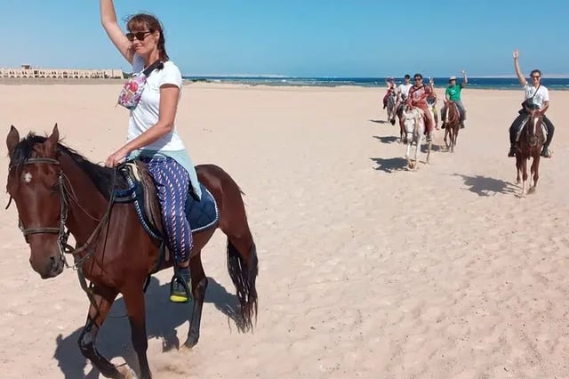 Swimming by Horse: 3 Hours on Beach and Desert with Transfer in Hurghada, listing photo