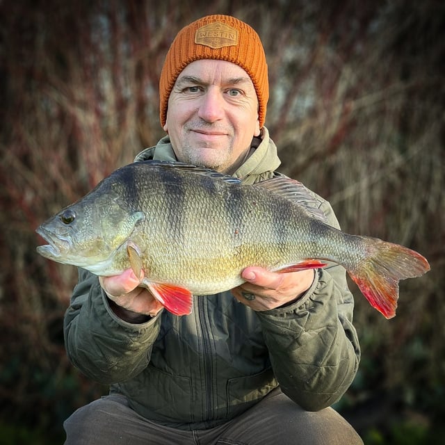 Lezione di pesca al persico con esche artificiali nei Norfolk Broads, listing photo