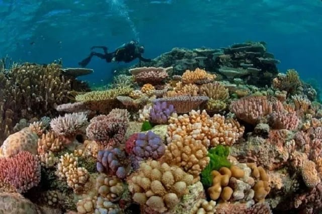 Beginners Scuba Diving Boat Trip – 2 Stops with Lunch in Marsa Alam, listing photo