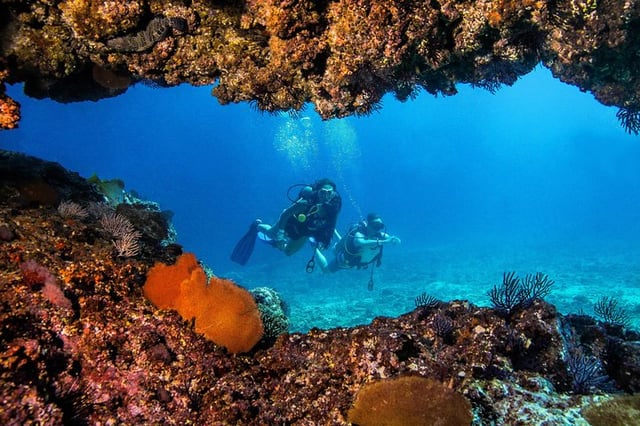 Scuba Diving at Los Arcos in Puerto Vallarta, listing photo