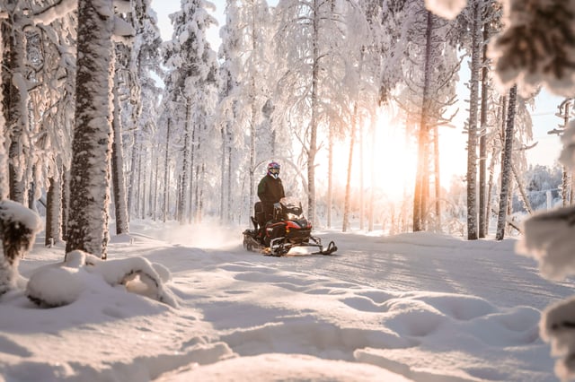 Snowmobile and Snowshoe Safari in Rovaniemi, listing photo