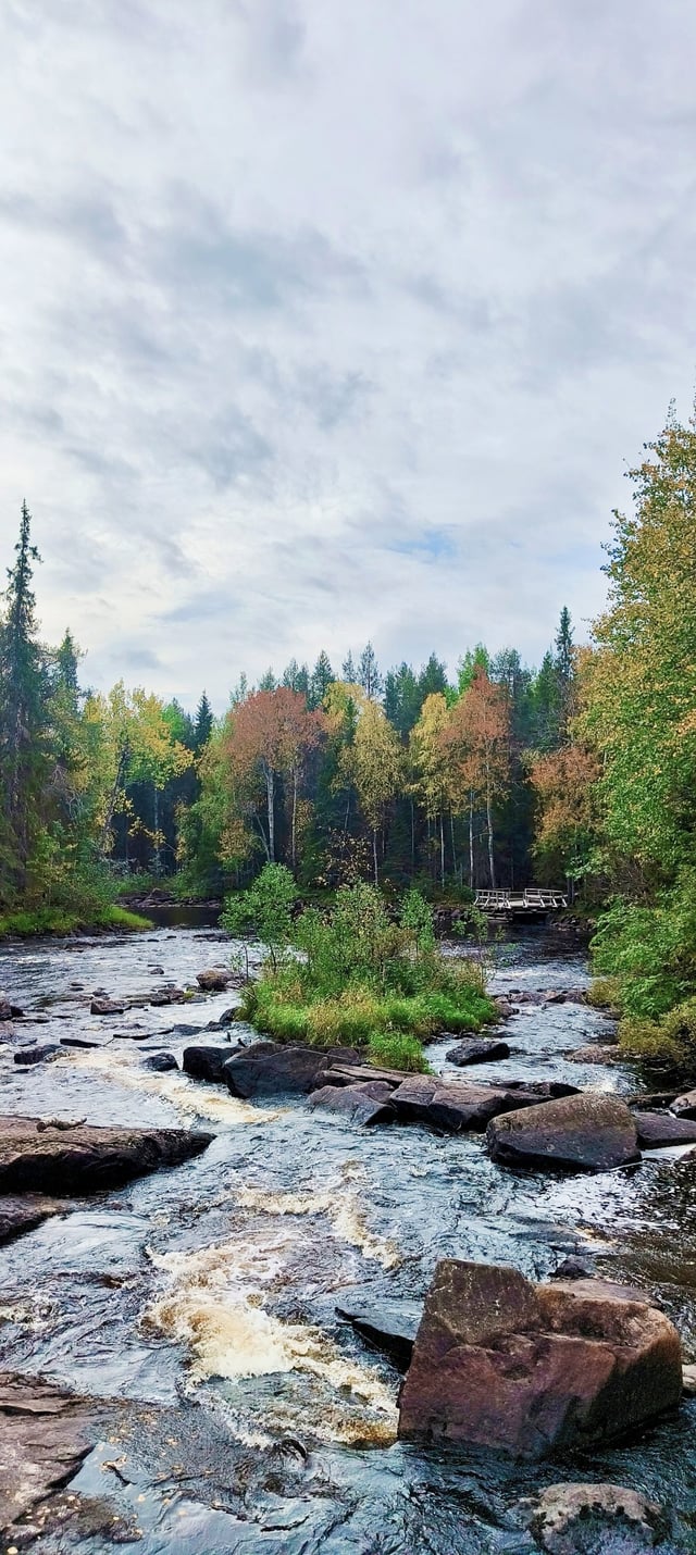 Wild Berry Picking and Campfire Pancakes in Lapland, listing photo