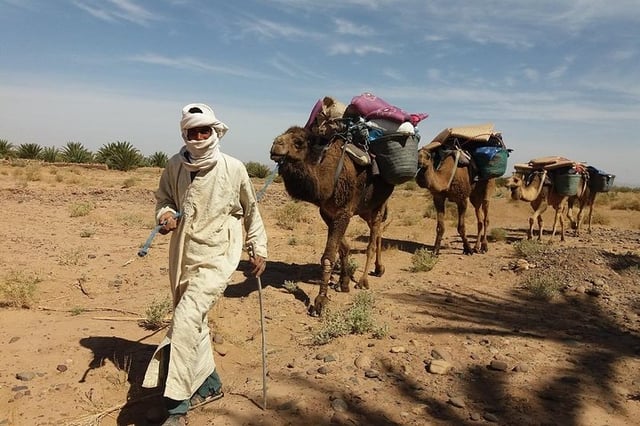 Camel Trekking in the Sahara, listing photo
