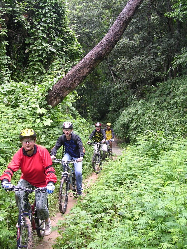 Rainforest and Lake Mountain Bike Day in Chiang Mai, listing photo