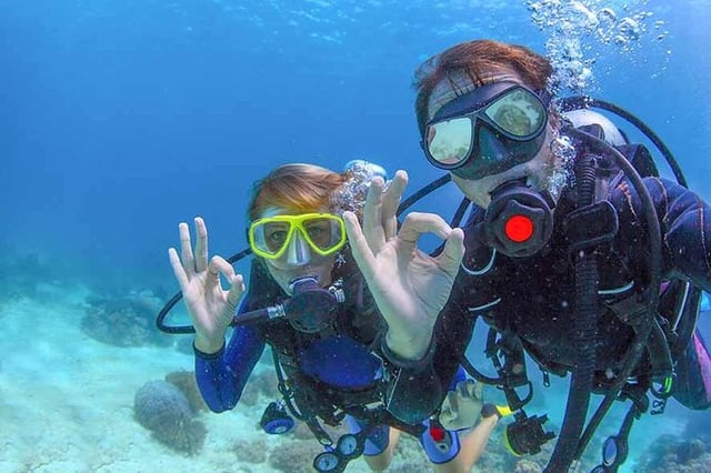 Beginner Scuba Course in Puerto Vallarta, listing photo