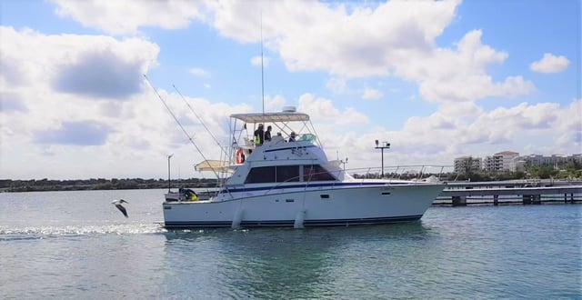 Sport Fishing in Cancún and Riviera Maya, listing photo