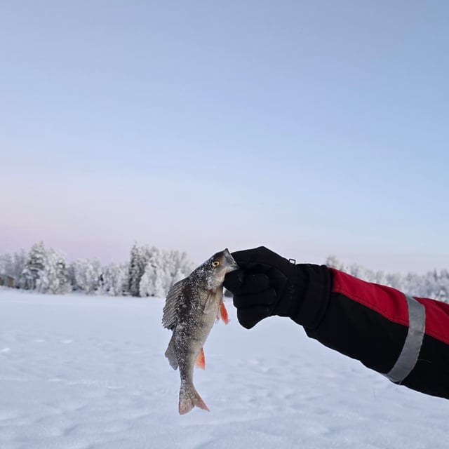 Ice Fishing on a Frozen Lake with BBQ in Lapland, listing photo