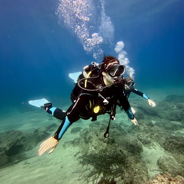 Baja California Sur Dive Expedition in Mexico, listing photo