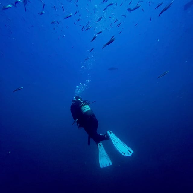 Red Sea Liveaboard Dive Trip in Egypt, listing photo