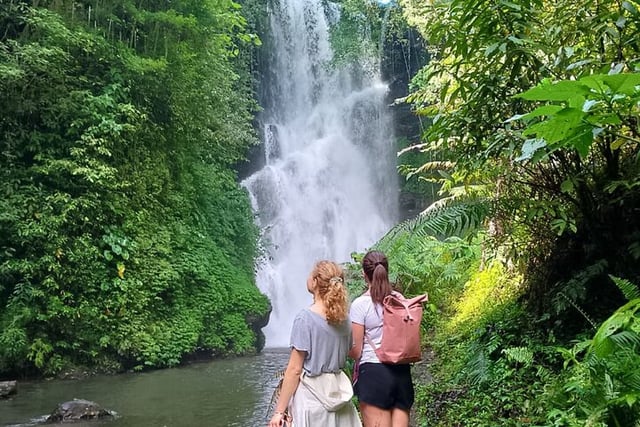 Waterfall Trekking at Aling Aling in Sambangan, listing photo