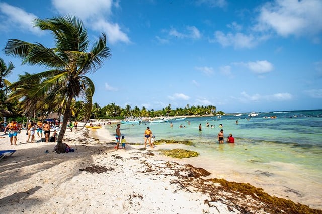 Sea Turtle Snorkel in Akumal Bay, listing photo