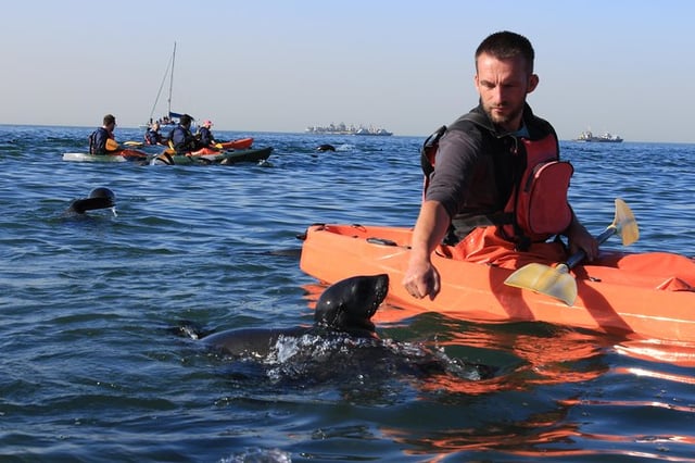 Kayaking and Off Road Tour in Walvis Bay, listing photo