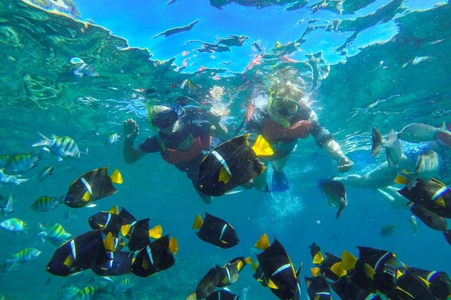 Sailing, Snorkelling, Kayaking and Paddleboarding with Island BBQ in Puerto Vallarta, listing photo