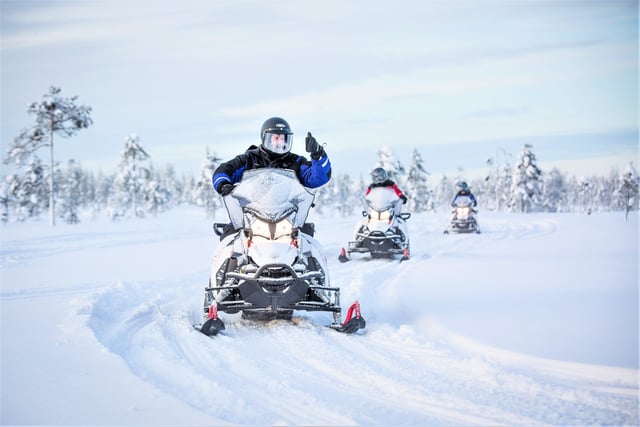 Taste of Wilderness: safari in motoslitta a Rovaniemi, listing photo